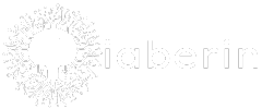 logo site iaberin